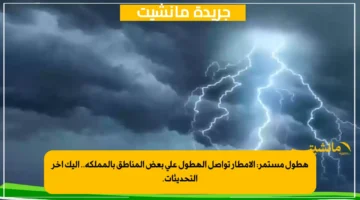 هطول مستمر الأمطار تواصل الهطول على بعض المناطق بالمملكة.. إليك آخر التحديثات. 1